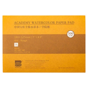Блок акварельний Academy 100% бавовна 300г 180х125мм 20л Rough, Baohong