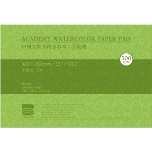 Блок акварельний Academy 100% бавовна 300г 380х260мм 20арк CP Baohong