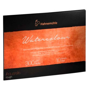 Альбом для акварелі 30х40см The Collection 300г 10арк 100% бавовна Rough