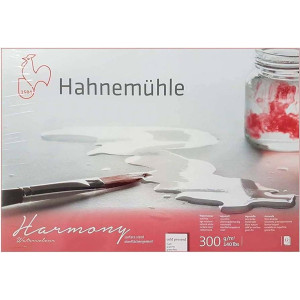 Альбом для акварелі A4 Harmony 300г 12арк CP, Hahnemuhle