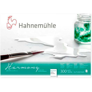 Альбом для акварелі A4 Harmony 300г 12арк HP, Hahnemuhle