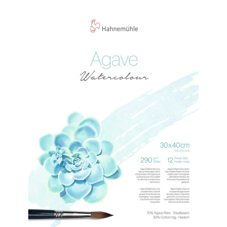 Акварельний альбом Agave 30х40см 290г CP