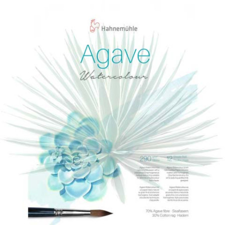 Акварельний альбом Agave 36х48см 290г CP