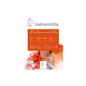 Альбом для акварелі Hahnemuhle 24х32см 300г 10арк Rough