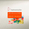 Акварельний папір Hahnemuhle 200г 50х65см CP