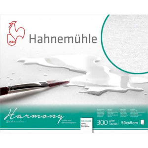 Бумага для акварели Harmony 50х65см 300г CP, Hahnemuhle. Photo 2
