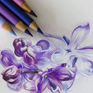 Набір 30 кольорових олівців Polychromos, Faber-Castell. Photo 2