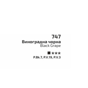 Фарба акварельна Виноградна чорна 747 кювета 2,5 мл, Rosa Gallery. Photo 2
